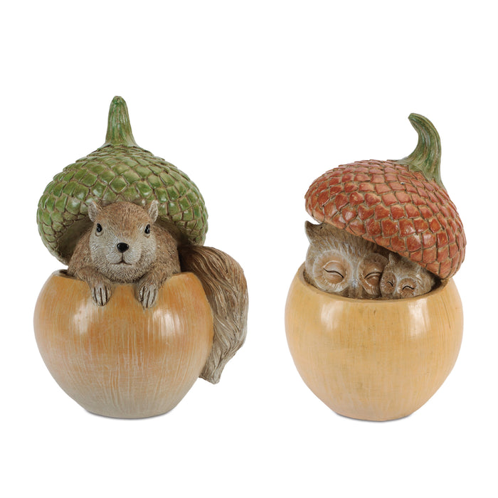 Acorn - Squirrel/Owl