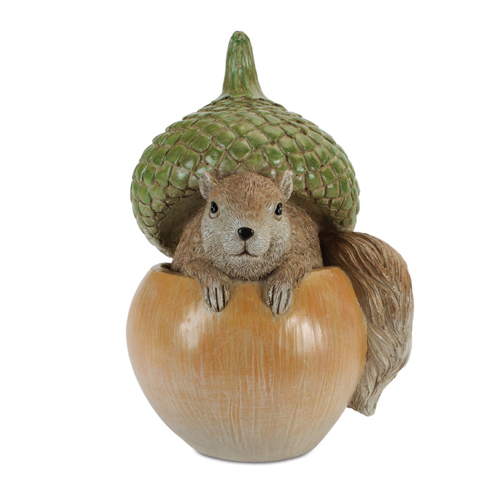 Acorn - Squirrel/Owl