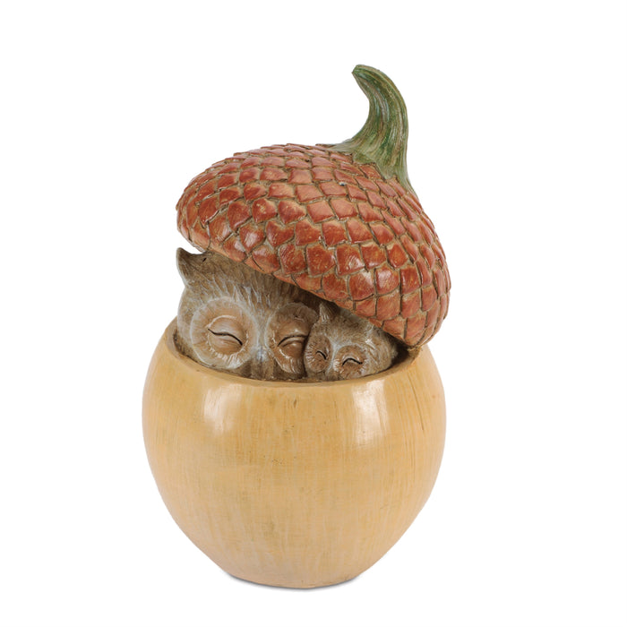 Acorn - Squirrel/Owl
