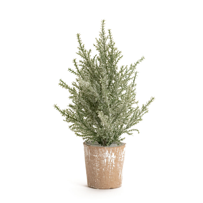 Potted Icy Pine Tree