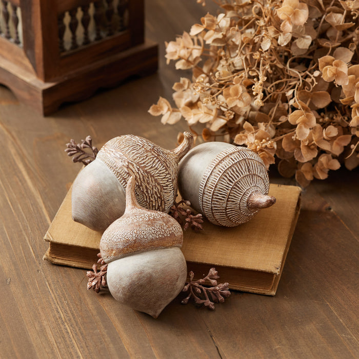 Acorn Decor
