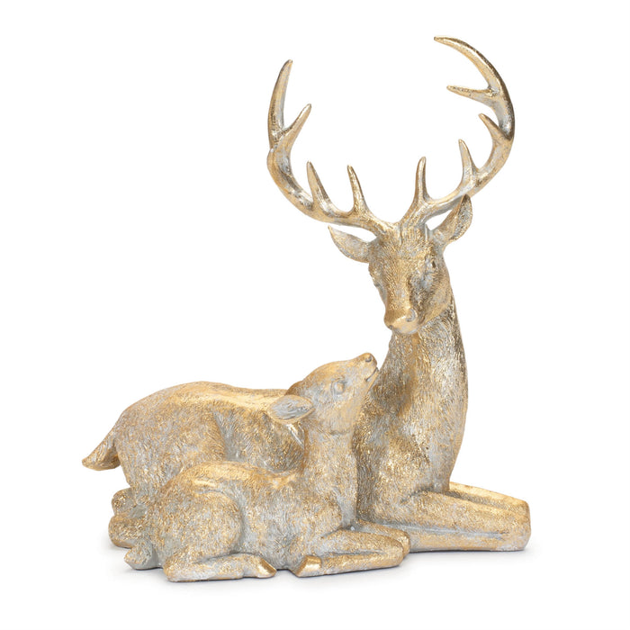 Deer & Fawn