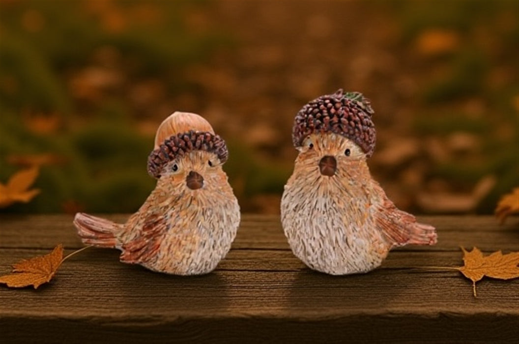 Bird w/Acorn Hat-COMING SOON
