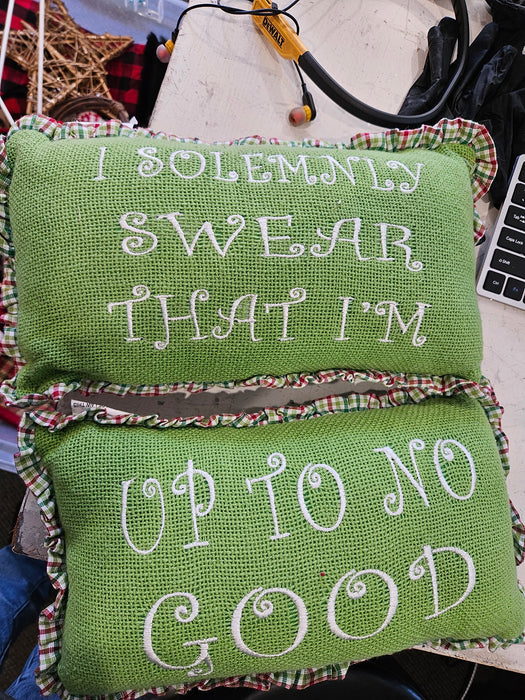 Whimsical Pillows "Up to No Good" Set of 2  7 X 13