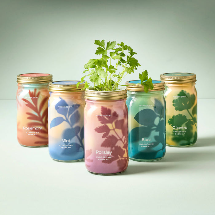 Herb Garden Jar: Basil