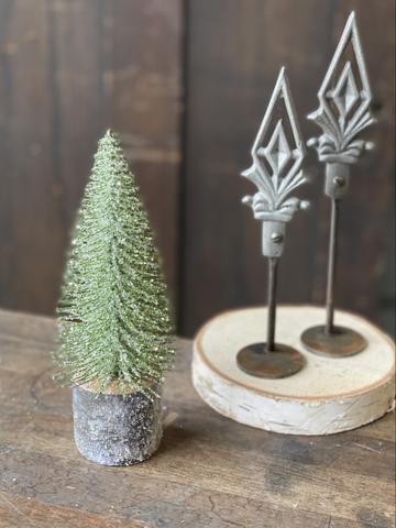 Iced Foxtail Pine Tree